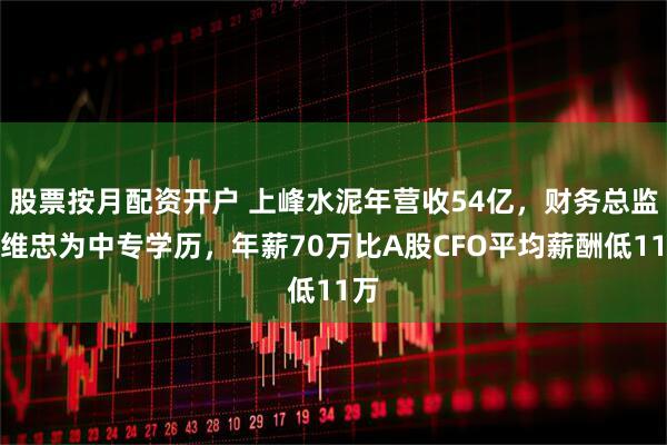 股票按月配资开户 上峰水泥年营收54亿,财务总监孟维忠为中专学历,年薪70万比A股CFO平均薪酬低11万