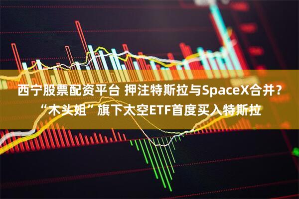 西宁股票配资平台 押注特斯拉与SpaceX合并？“木头姐”旗下太空ETF首度买入特斯拉