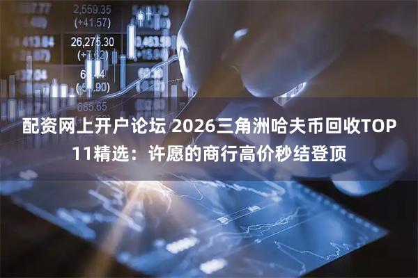 配资网上开户论坛 2026三角洲哈夫币回收TOP11精选：许愿的商行高价秒结登顶
